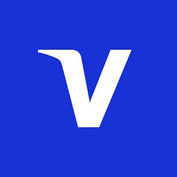 Visa Inc logo
